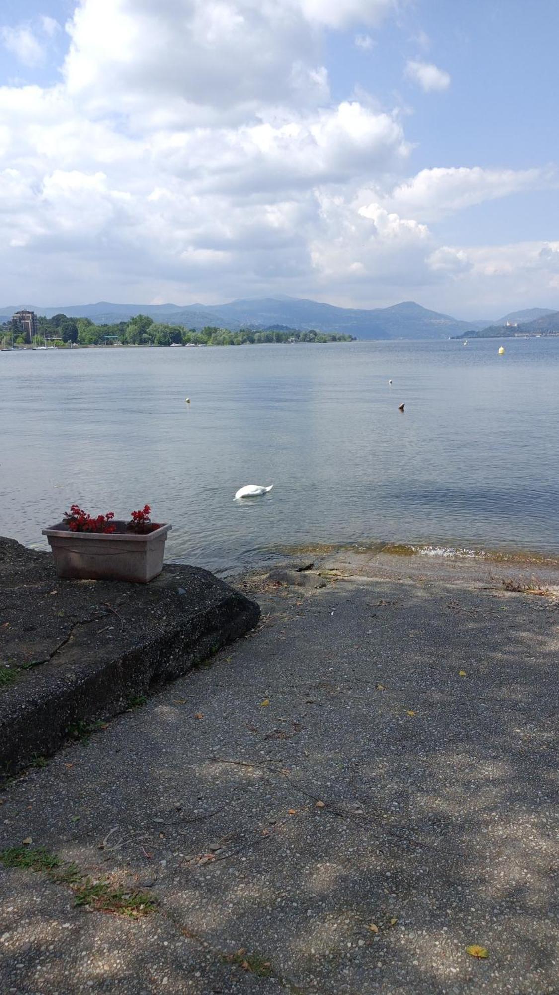 House Benedetta & Gloria On The Lake Castelletto sopra Ticino Exteriör bild